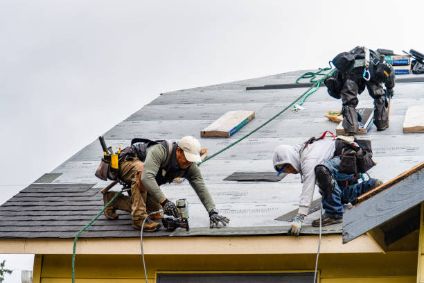 Professional Roofing technician working in Albion, PA